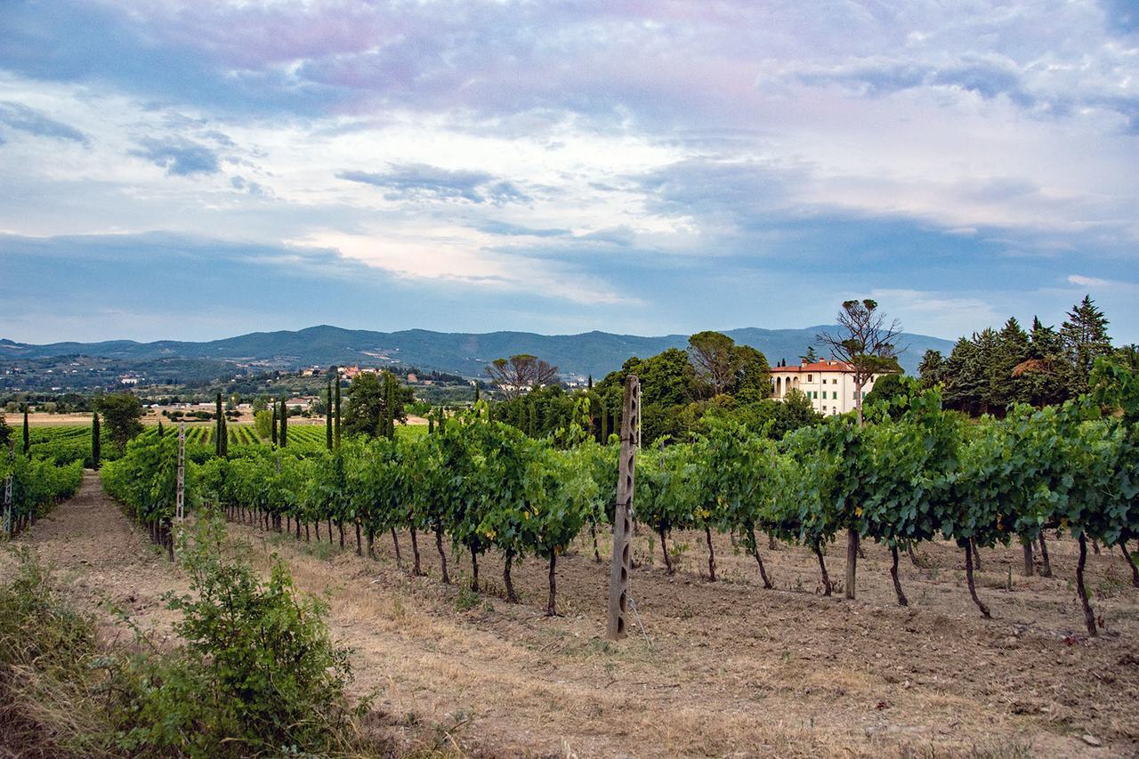 Agriturismo Albergotti Arezzo Zewnętrze zdjęcie
